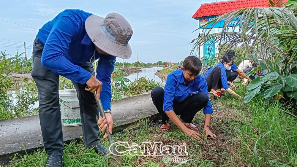 Lực lượng ÐVTN phát quang bụi rậm và trồng bông trang tại Khu dân cư tự quản ấp Tắc Năm Căn A, xã Ðất Mới.