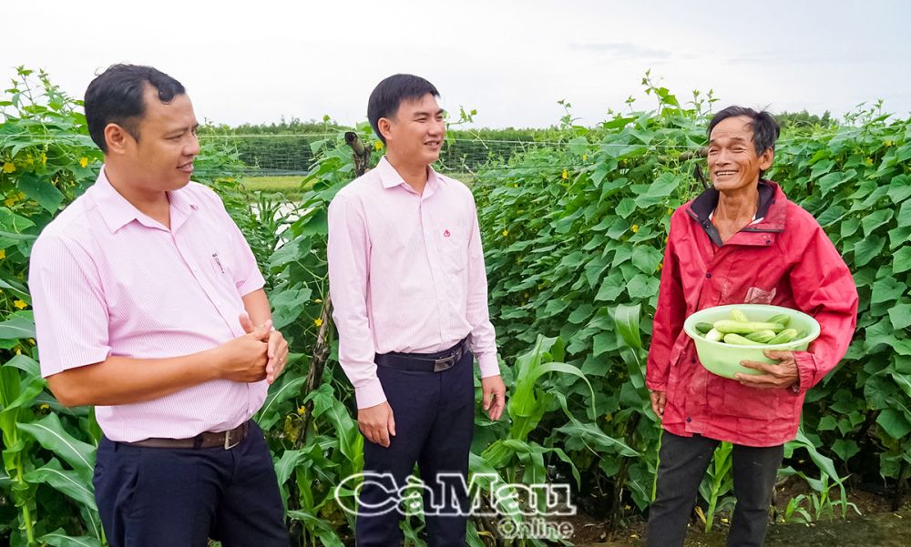 Nhân viên Phòng giao dịch Ngân hàng Chính sách xã hội huyện U Minh đến thăm hỏi và hướng dẫn người dân cách sử dụng vốn để phát triển sản xuất và xây dựng sinh kế bền vững.