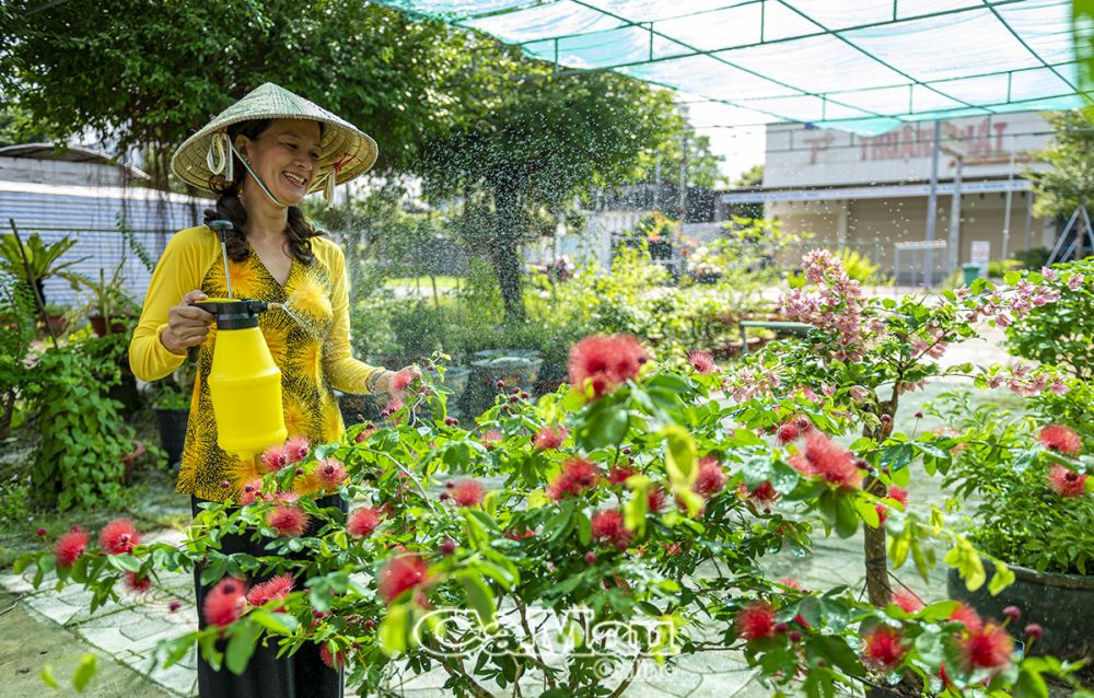 Chị Ngân thường dành thời gian mỗi ngày để chăm sóc các tác phẩm của mình. Từ việc chọn đất, tưới nước đến cắt tỉa cành lá, mỗi công đoạn đều mang lại cho chị niềm vui, thư giãn.