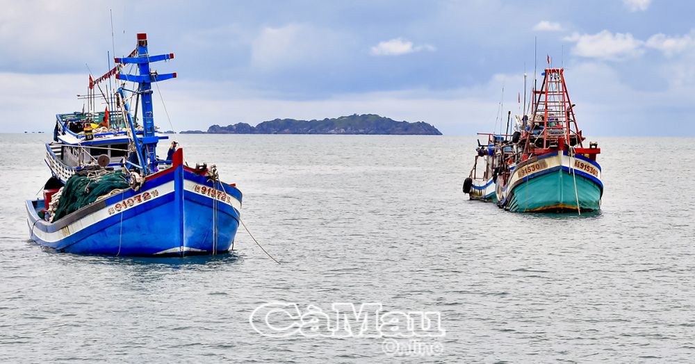 Chấp hành các quy định về khai thác thuỷ sản IUU là trách nhiệm và bảo quyền lợi của ngư dân. Ảnh: Thanh Minh