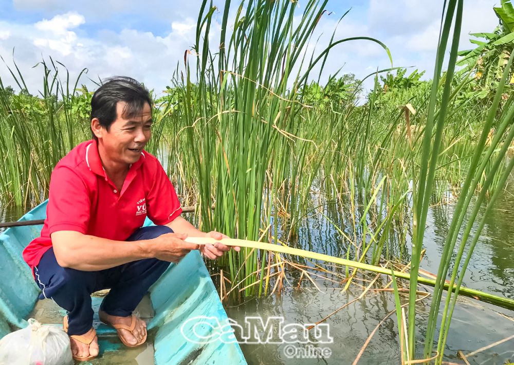 Ngoài chuyển đổi sản xuất hiệu quả, ông Quách Văn Việt còn là tấm gương trong xây dựng gia đình văn hoá tiêu biểu ở địa phương.