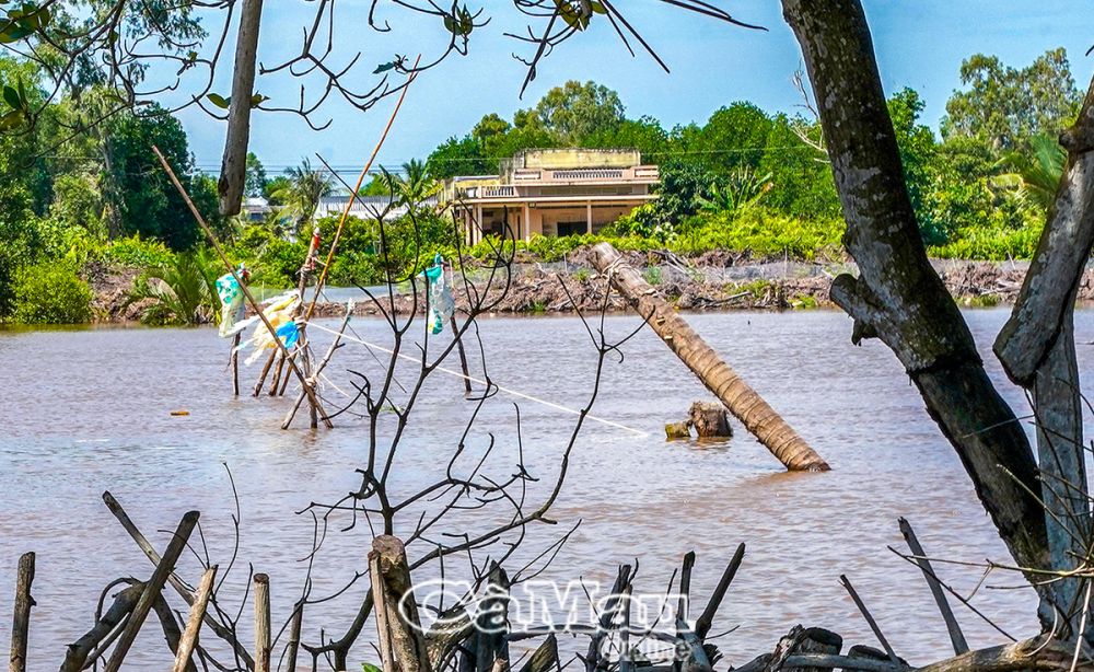 Hàng đáy trên sông Ông Ðốc (đoạn ấp Giao Vàm, xã Lợi An, huyện Trần Văn Thời) rất nguy hiểm cho phương tiện lưu thông ngang qua.