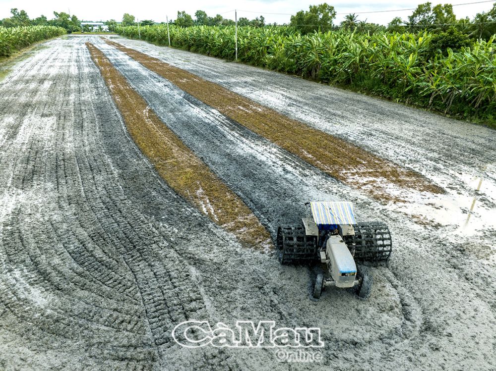 Nông dân xã Khánh Lâm, huyện U Minh đang cải tạo đất chuẩn bị gieo sạ vụ đông xuân.