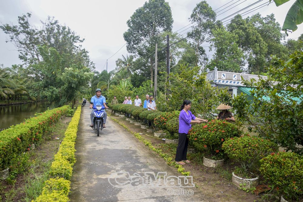 Tuyến đường do chị Phương vận động chị em trong ấp trồng cây cảnh, vừa tạo cảnh quan, vừa tạo không gian sạch - đẹp quanh nhà.