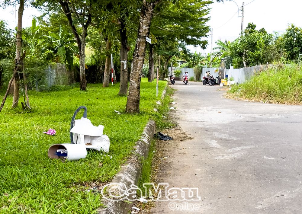 Không chỉ rác thuỷ tinh mà các loại rác cồng kềnh như la va bô, bồn cầu cũng vô tư áng ngữ ở hành lang cây xanh. (Ảnh chụp tại Phường 4, TP Cà Mau).