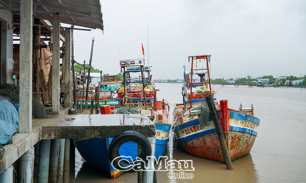 Số hoá các tàu có nguy cơ vi phạm cao về IUU đang được thị trấn Rạch Gốc triển khai rốt ráo, hiệu quả.