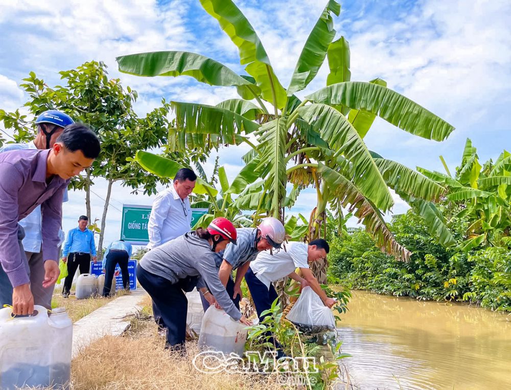 Thả cá giống tái tạo nguồn lợi thuỷ sản tại xã Tân Thành.