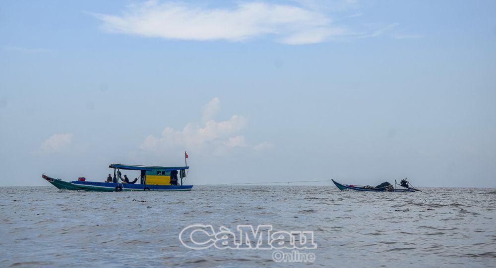 Cà Mau tăng cường kiểm tra, kiểm soát, ngăn chặn tàu cá “3 không”.