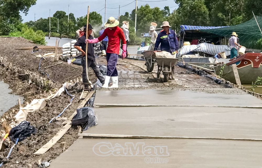 Ðể hoàn thiện tiêu chí giao thông, xã Trần Phán cần đầu tư xây mới, nâng cấp nhiều tuyến lộ với nguồn vốn lớn. (Ảnh chụp ở tuyến lộ ấp Bào Giá).