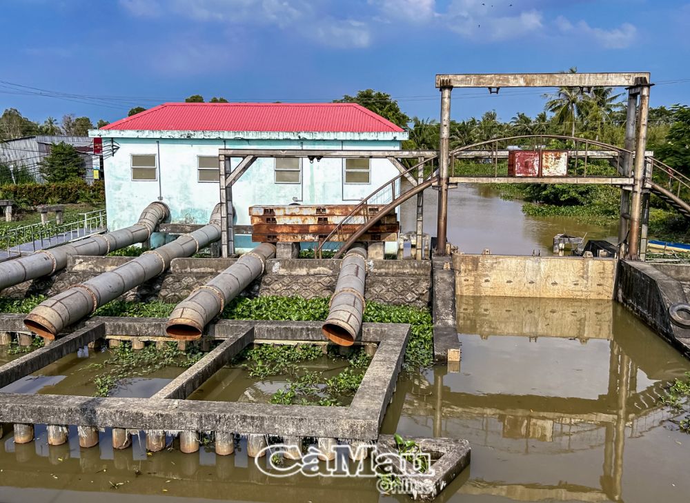 Cống Rạch Nhum, một trong các cống của hệ thống cống bảo vệ vùng ngọt hoá huyện Trần Văn Thời dọc tuyến Tắc Thủ - Sông Ðốc.