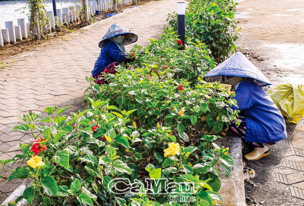 Cảnh quan môi trường hồ Vân Thuỷ được giữ gìn sạch đẹp, lực lượng làm vệ sinh thường xuyên dọn dẹp cỏ rác, chăm sóc cây cảnh.