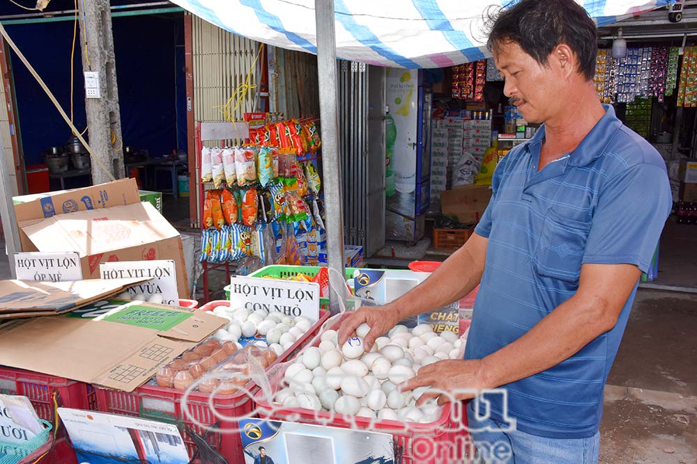 Trứng là một loại thực phẩm tốt nhất cho sự hình thành và phát triển trí não của trẻ.