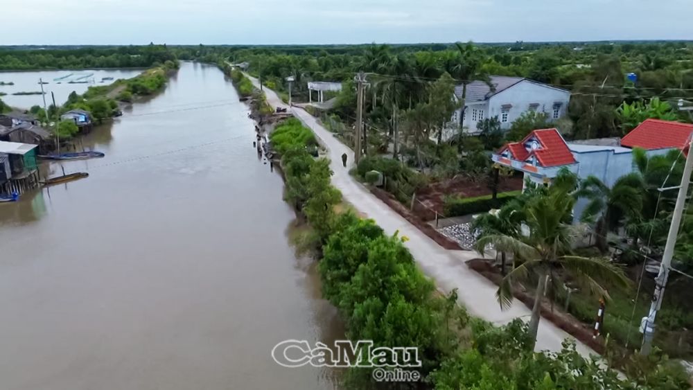 Ðồng Bìm Bịp chuyển mình với các tuyến lộ khang trang, kênh, rạch thông thoáng, tạo điều kiện cho người dân đi lại, giao thương thuận lợi.