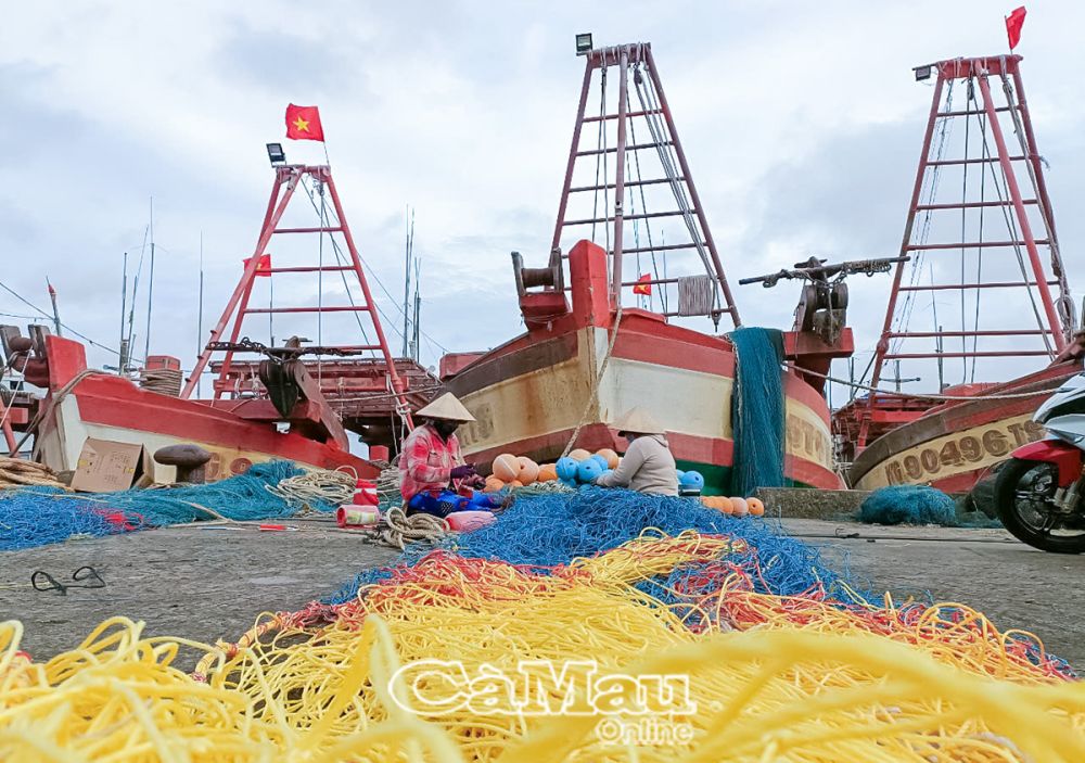 Các phương tiện neo đậu tại Cảng cá Rạch Gốc luôn chủ động thực hiện những quy định về khai thác thuỷ sản.