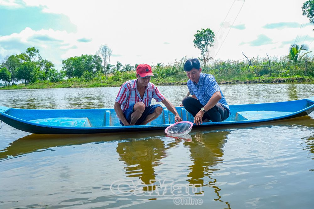 Anh Nguyễn Hoàng Giang (bên trái) kiểm tra quá trình sinh trưởng của tôm sau thời gian được hỗ trợ con giống từ lớp tập huấn.