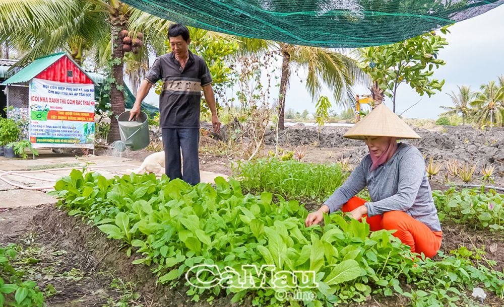 Người đàn ông đã biết phụ giúp, đỡ đần vợ trong nhiều công việc gia đình và xã hội.