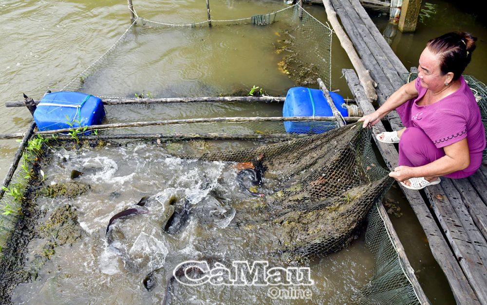 Tận dụng điều kiện tự nhiên, địa lý và lợi thế, người dân Ấp Mũi  xây dựng mô hình du lịch sinh thái dựa vào cộng đồng với nền ẩm thực mang đậm nét theo hệ sinh thái địa phương.