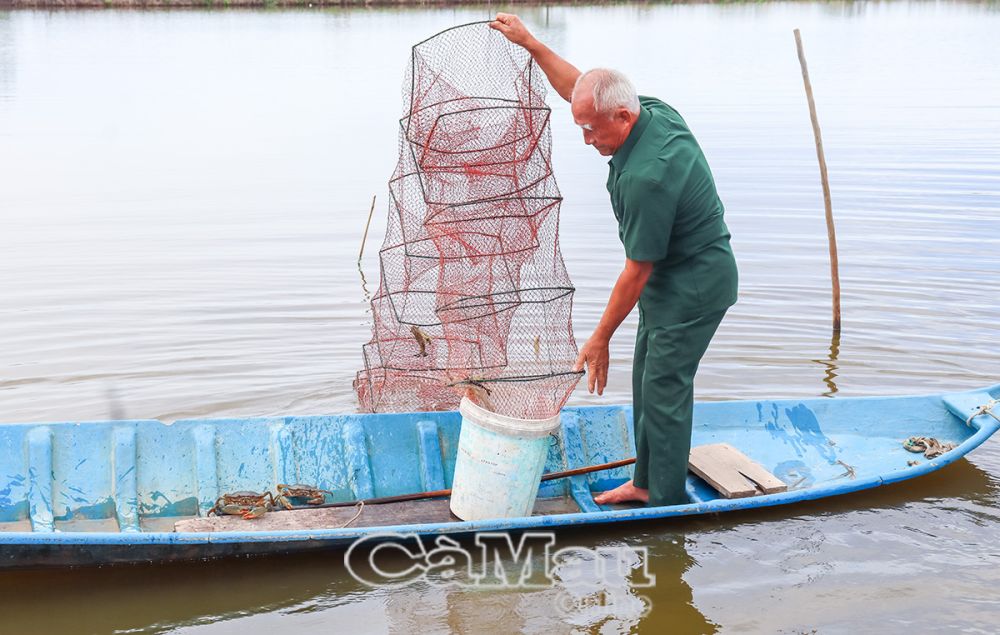 Mô hình nuôi tôm, cua kết hợp mỗi năm mang về cho gia đình ông Võ Văn Láng hàng trăm triệu đồng.