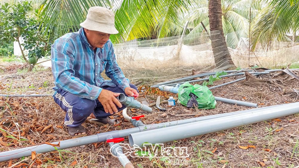 Ông Ðào Vĩnh Phúc đang hoàn thiện hệ thống tưới tiết kiệm nước cho vườn cây ăn trái của gia đình.