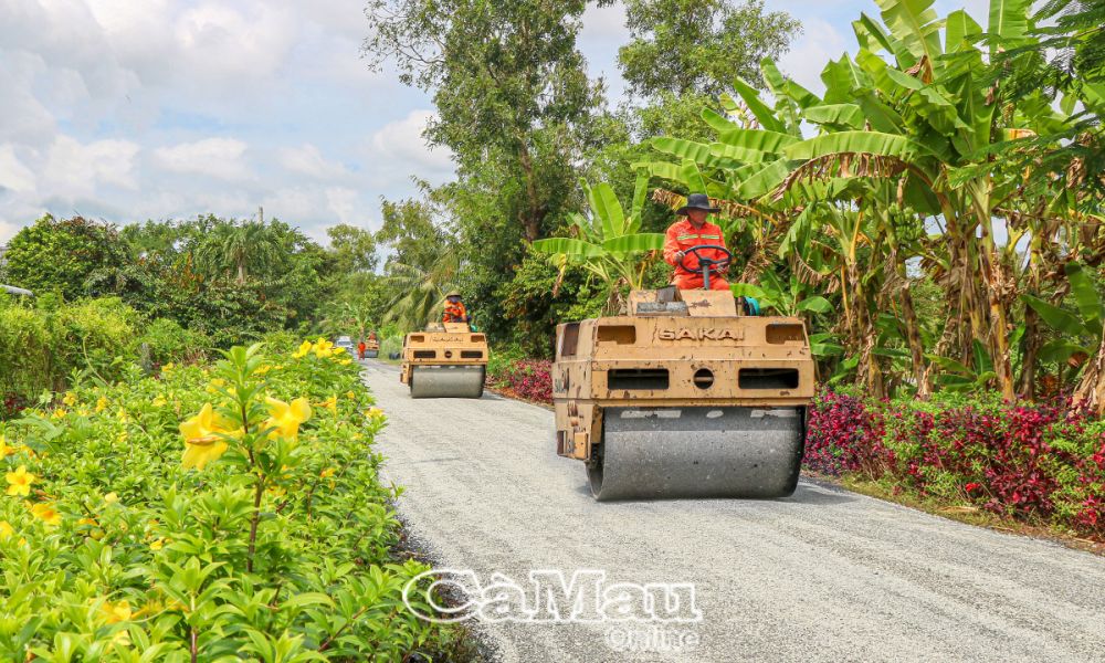 Tuyến đường về trung tâm xã Trần Hợi sau khi được duy tu, sửa chữa đã bằng phẳng, sạch đẹp, thông thoáng, an toàn cho người dân đi lại. 