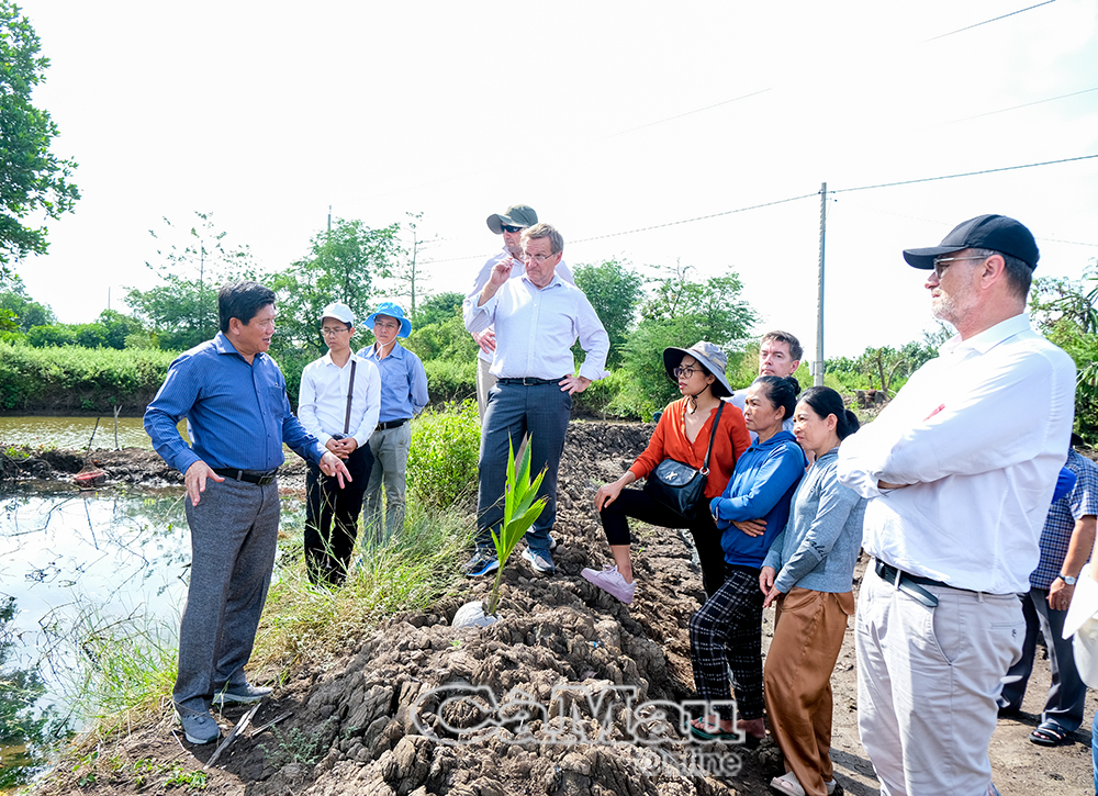 Phó Chủ tịch UBND tỉnh Lê Văn Sử trao đổi cùng đoàn đại sứ về các mô hình sinh kế của bà con nông dân tại cửa biển Sào Lưới