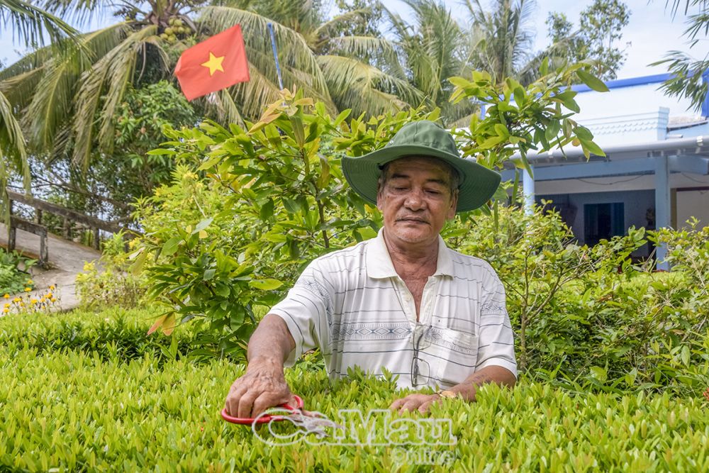 Dù diện tích đất không nhiều nhưng CCB Nguyễn Văn Ca vẫn dành tặng phần đất làm nơi cho đồng đội yên nghỉ.