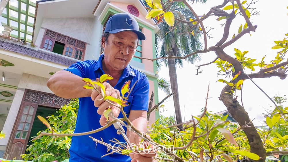 Ông Nguyễn Trọng Ðộ kiên quyết bám trụ tại vùng kinh tế mới Nông trường Quốc doanh Sông Ðốc xưa.