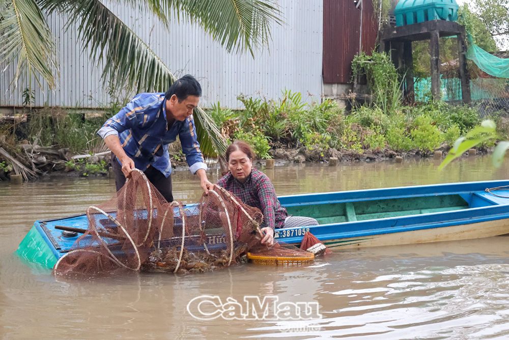 Ông Trần Văn Hồng và vợ đặt lú bắt tôm.