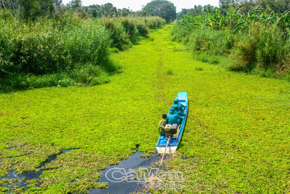 Ngoài đường bộ, nhân viên Vườn Quốc gia U Minh Hạ thường xuyên tổ chức tuần tra bằng đường thuỷ. (Ảnh chụp tháng 3/2024).