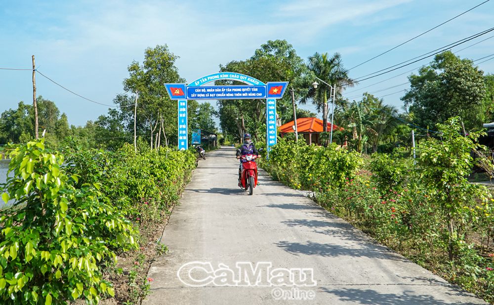 Ðông Hưng bừng lên diện mạo tươi mới từ mô hình Tết Quân - Dân.