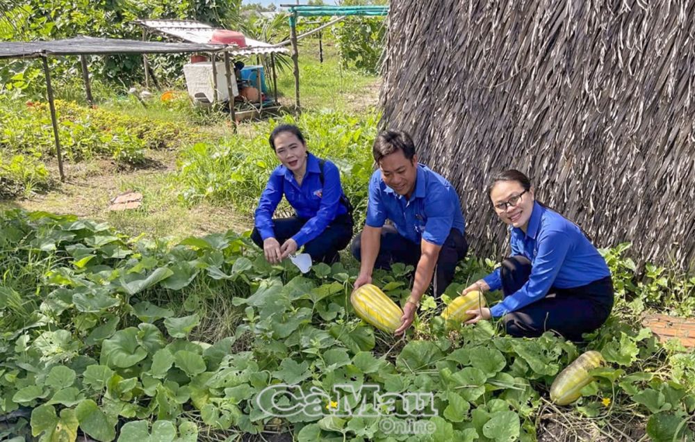 ÐVTN dành thời gian học tập kinh nghiệm lẫn nhau để thực hiện mô hình hiệu quả hơn.