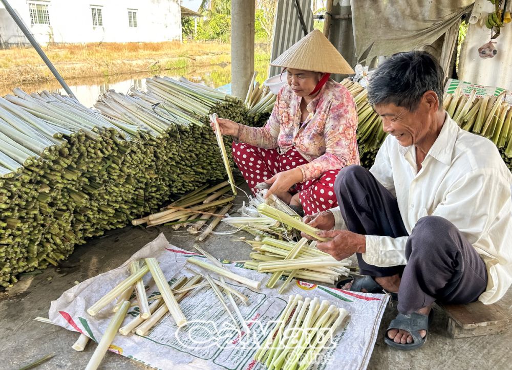 Tiết kiệm nước ngọt bảo vệ mô hình trồng bồn bồn, nuôi cá đồng đang được nhiều nông dân xã Khánh An (huyện U Minh)triển khai thực hiện, đây là giải pháp thích ứng với mùa khô trong thời gian tới.