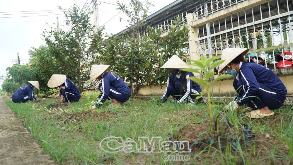 Sau khi trải qua 5 giai đoạn, học viên tại Cơ sở cai nghiện tham gia lao động vừa trị liệu vừa cấp thêm chế độ ăn cho học viên.