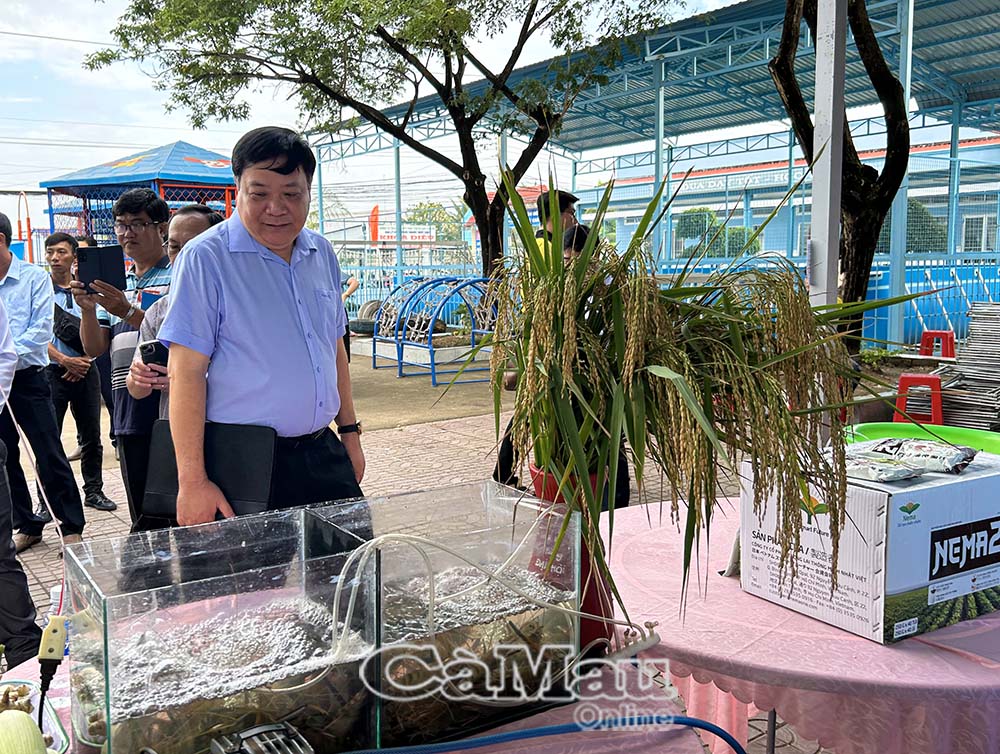 Phó bí thư Tỉnh uỷ, Chủ tịch UBND tỉnh Phạm Thành Ngại tham quan sản phẩm đặt trưng của xã Trí Lực được trưng bày tại hội nghị.