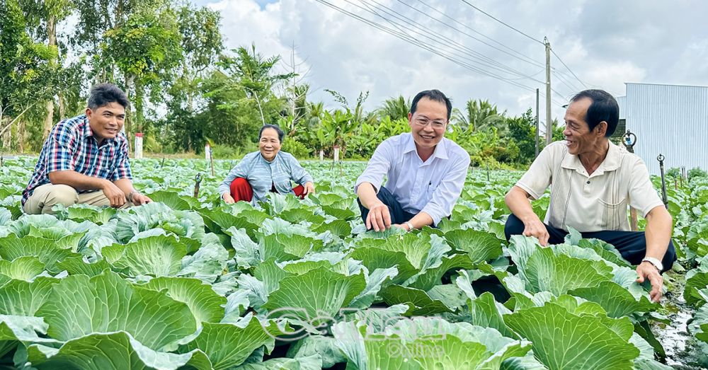 Ông Nguyễn Cảnh Hạnh (thứ hai từ phải sang) cùng người dân địa phương tham quan mô hình trồng bắp cải đón Tết.