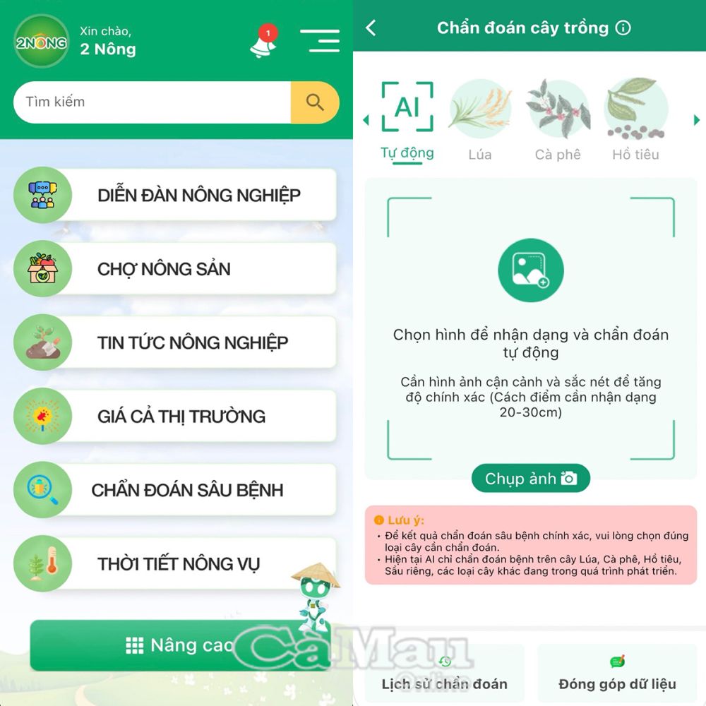 Giao diện của ứng dụng "2NÔNG" và tính năng chẩn đoán sâu bệnh bằng công nghệ AI.