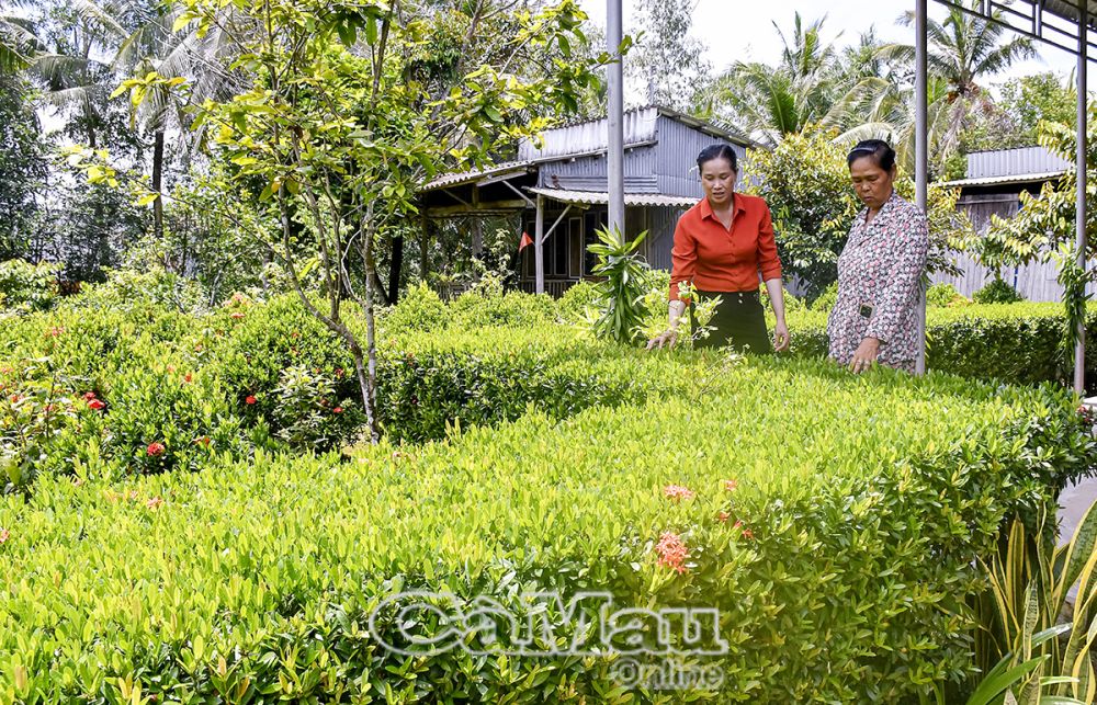 Chị Thái Kim Ngói tích cực vận động hội viên, phụ nữ xây dựng nông thôn mới, đô thị văn minh, giảm nghèo bền vững.