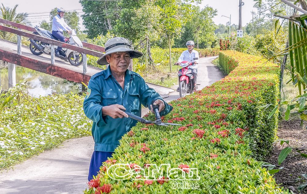 Tuyến đường “Nhà tôi an toàn” gắn với tiêu chí xây dựng vẻ mỹ quan tổng thể phải xanh, sạch, đẹp. Các hộ sống trên tuyến đường đều có hàng rào cây xanh và được trồng nối tiếp liền kề.