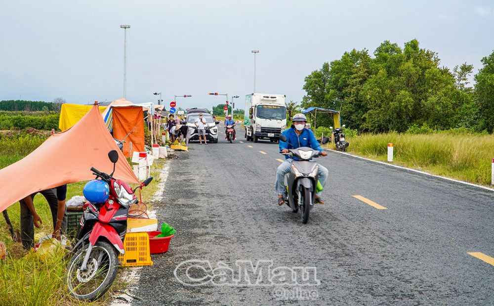 Người dân che tạm sát lòng đường tuyến DT988, đoạn từ nút giao tuyến tránh Quốc lộ 1 - Ðầm Dơi đến cầu Hoà Trung, tiềm ẩn nguy cơ tai nạn giao thông.