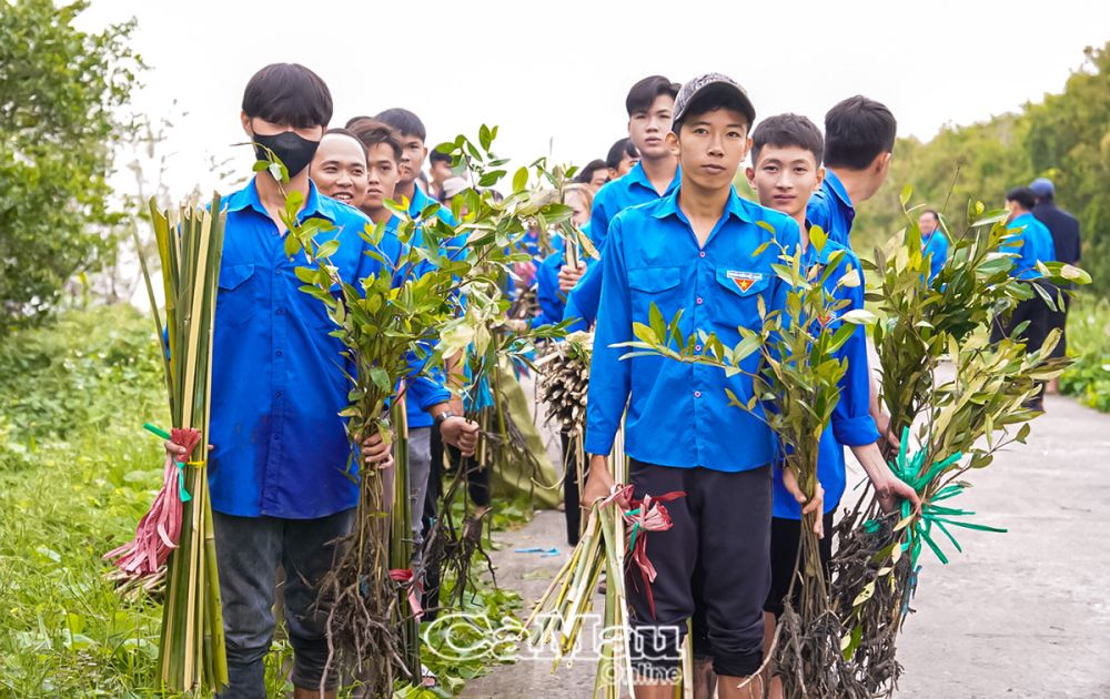 Các đoàn viên thanh niên nhận cây trước khi ra khu vực trồng.