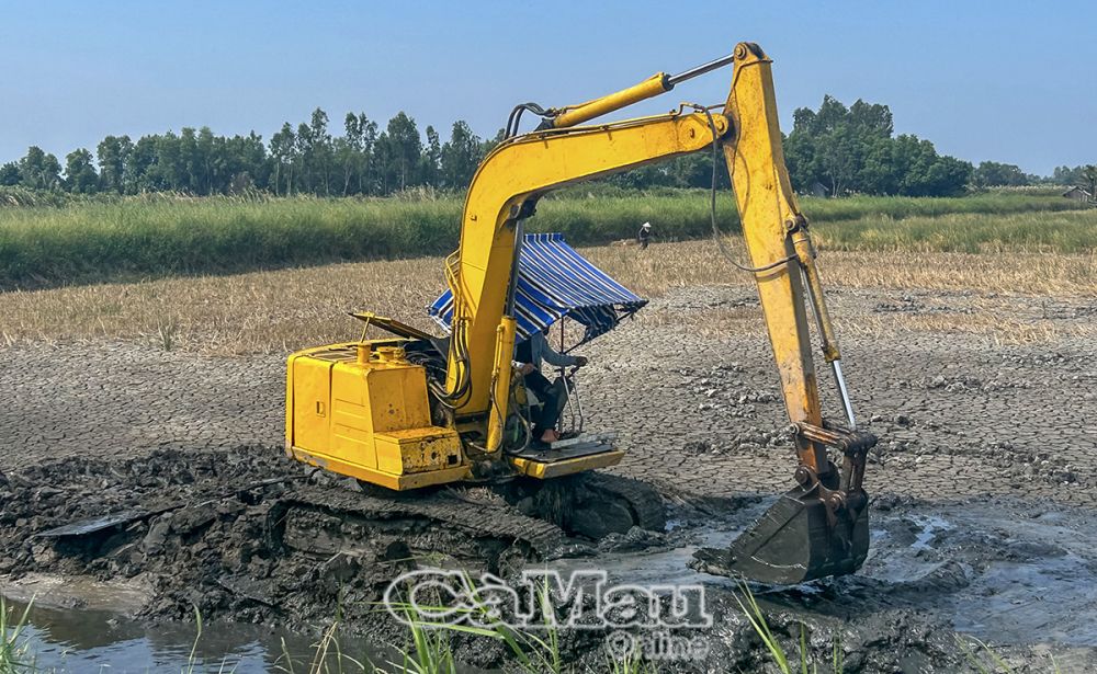 Người dân xã Thới Bình, huyện Thới Bình, chủ động đưa cơ giới cải tạo vuông, chuẩn bị cho vụ nuôi tôm mới.