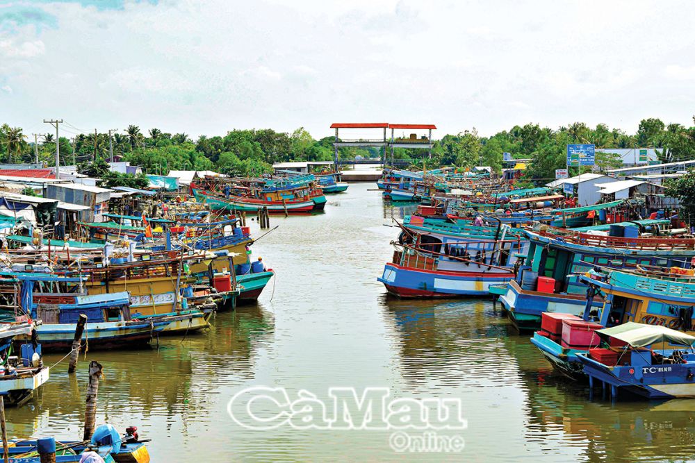 Vàm Sào Lưới thu hút lượng lớn phương tiện vào neo đậu và tạo việc làm cho lao động ở địa phương.