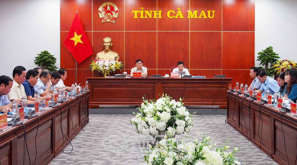 Tại điểm cầu Cà Mau, Phó bí thư Thường trực Tỉnh uỷ Nguyễn Đức Hiển và Chủ tịch UBND tỉnh Phạm Thành Ngại chủ trì. Cùng dự có Trưởng ban Tuyên giáo Tỉnh uỷ Hồ Trung Việt, Phó chủ tịch UBND tỉnh Nguyễn Minh Luân.