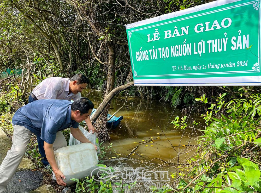 Phường Tân Thành thả cá giống tái tạo nguồn lợi thuỷ sản.