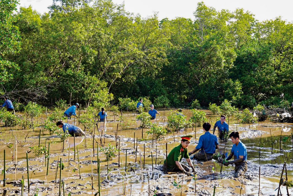 ÐVTN huyện Trần Văn Thời tích cực tham gia trồng rừng, cùng địa phương ứng phó biến đổi khí hậu.