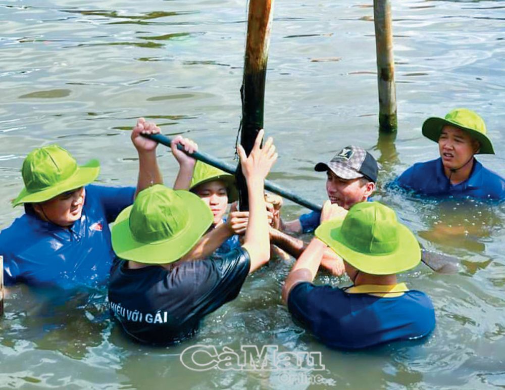 ÐVTN xã Trí Phải, huyện Thới Bình gia cố bờ kè các tuyến sông.