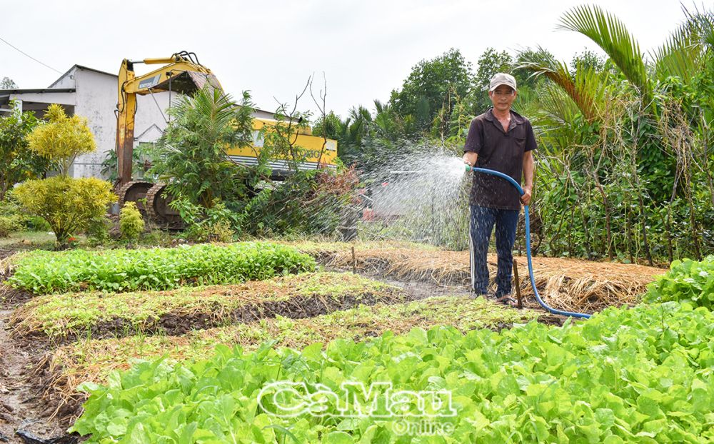 Anh Ðinh Văn Khởi mỗi năm thu nhập từ hoa màu trên 100 triệu đồng.