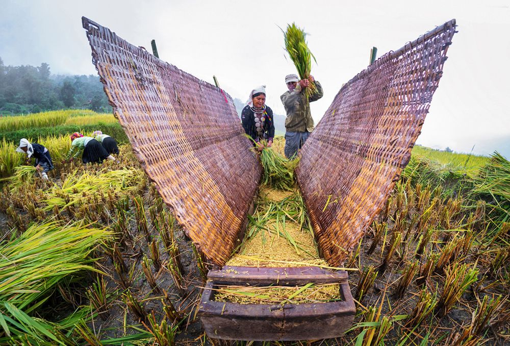 Vũ điệu mùa nếp ở Na Hang.