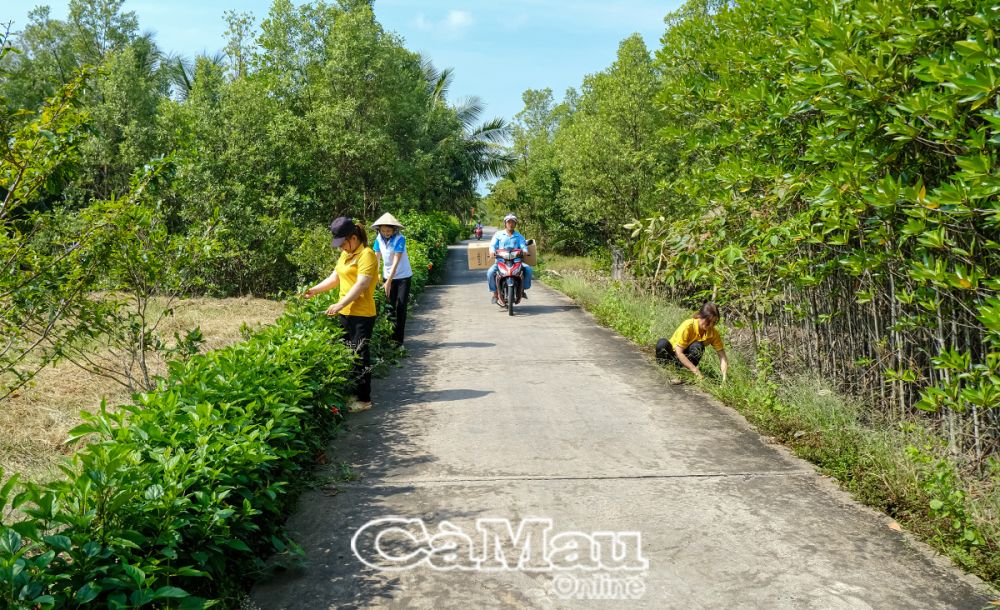 Không chỉ dịp Tết, việc đảm bảo vệ sinh, cắt tỉa hàng rào cây xanh ở các tuyến đường đã trở thành thói quen của người dân ấp Tân Thành Lập.