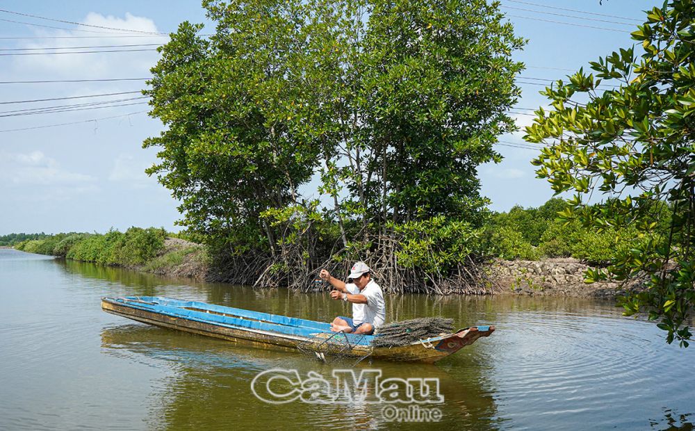 Ông Nguyễn Thanh Ðoàn (50 tuổi), ấp Tân Tiến, xã Tân Ân Tây, NNCÐDC, có 2 người con đều bị giảm thiểu trí tuệ, nhưng không vì thế mà ông chùn bước. Hằng năm, gia đình ông tăng gia sản xuất, thu nhập khá từ tôm và cua.